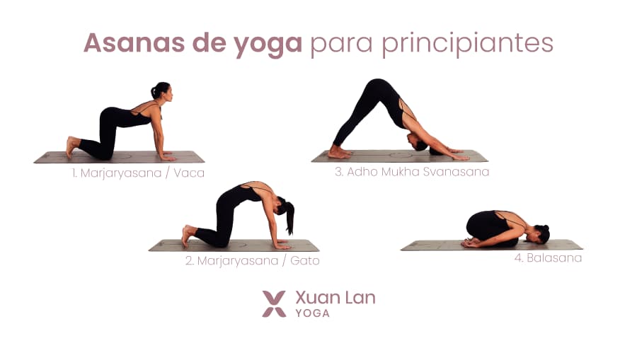 yoga desde cero